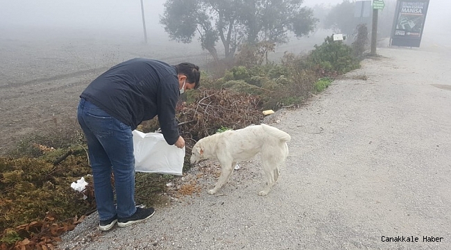 Sokak hayvanlarına mama desteği