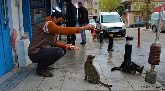 Sokak kedileri bu dükkanların açılmasını dört gözle bekliyor