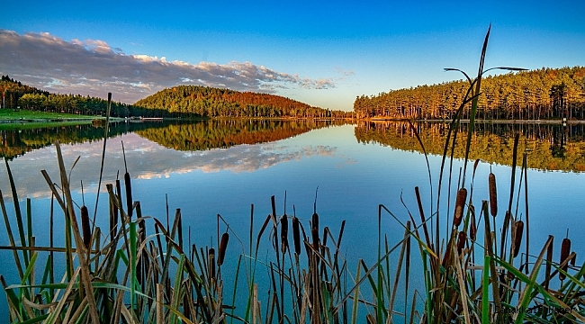 Sonbaharın güzellikleri Topuk Yaylasında renk cümbüşü oluşturdu