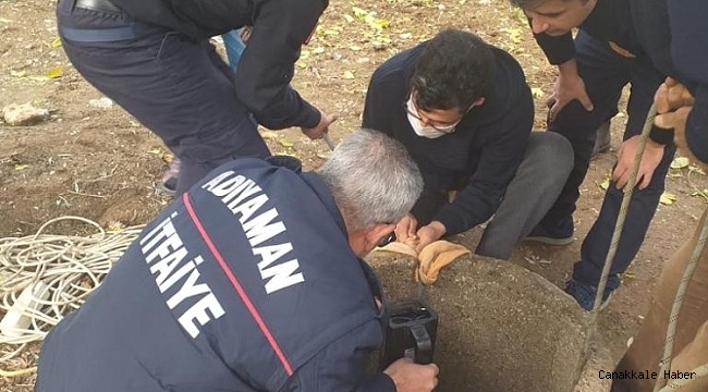 Su kuyusuna düşen keçi kurtarıldı