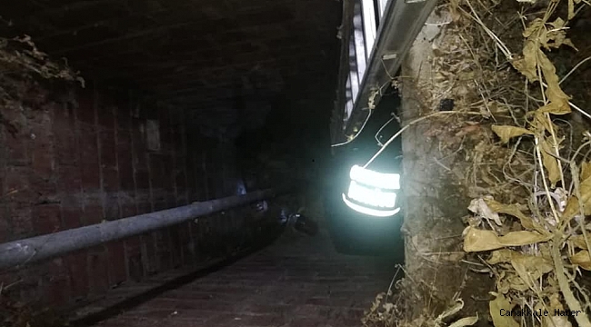 Su kuyusuna düşen yavru köpekler kurtarıldı