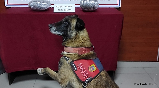 Şüpheli otomobilden uyuşturucu çıktı