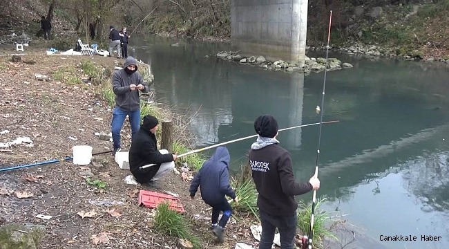 Sürüler halindeki tatlı su kefalleri ilgi çekiyor