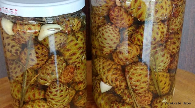 Süs olarak kullanılan kozalaklar şifa kaynağı oluyor