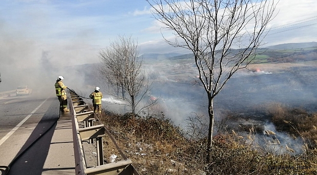 Susurluk'ta 20 dönüm sazlık alan yandı