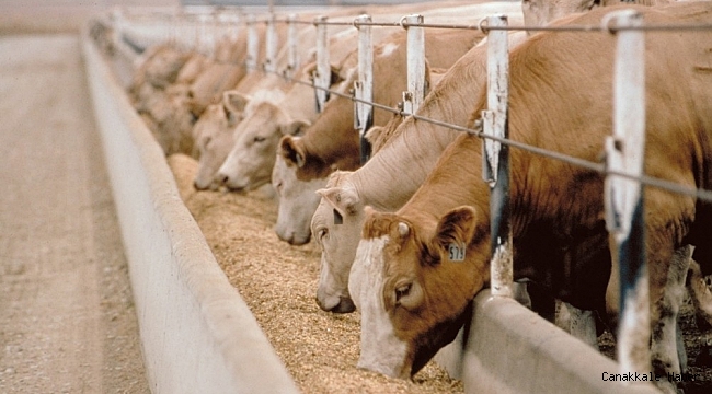 Talas&#039;tan çiftçilere uzaktan eğitim