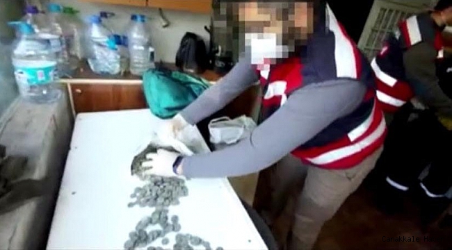Tarihi sikkeleri satamadan jandarmaya yakalandı