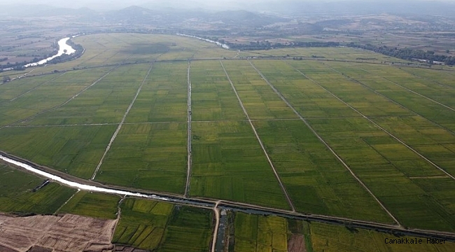 Tarım alanlarında 8,25 milyon hektar alanda toplulaştırma çalışmaları sürüyor