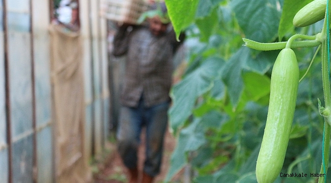 Tarımda siparişe göre üretim dönemi