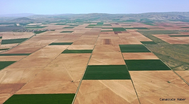 Tarımın birçok alanına yüzde 50 hibe desteği sağlanacak