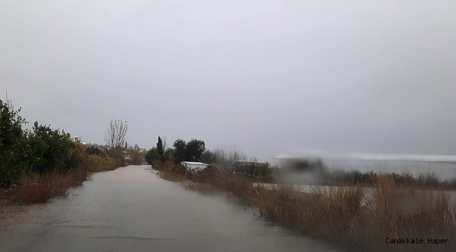 TARSİM: &quot;Ülkemiz için üreten ve alın teri döken üreticimizin daima yanındayız&quot;