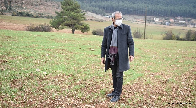 Tarsus&#039;ta &#039;ata tohumu&#039; projesi toprakta hayat buldu