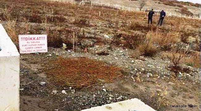 Tavşanlı&#039;da 9 dekarlık ceviz bahçesi destekleme kapsamına alındı