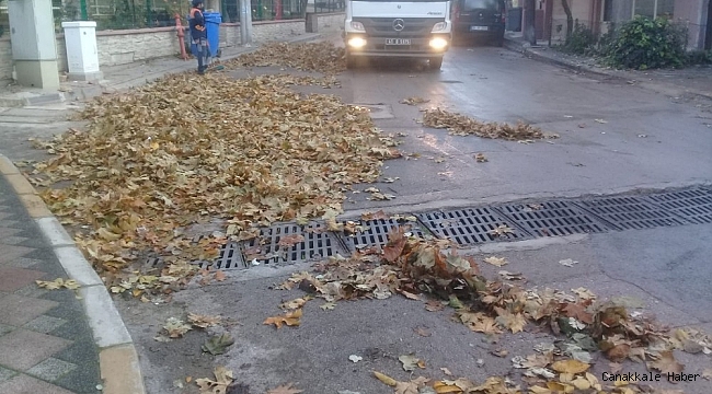 Temizlik görevlilerinin yaprak mesaisi