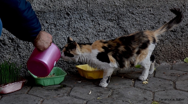 Tepebaşı Belediyesi ekipleri iki günlük sokağa çıkma yasağı döneminde can dostları yalnız bırakmadı