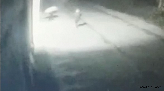 TMO deposundan 15 çuval fındık çaldılar