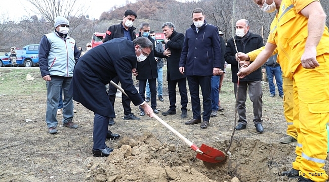 Tokat&#039;ta 80 bin ceviz fidanı toprakla buluşturuldu
