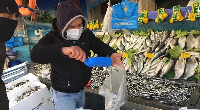Tokat&#039;ta hamsi fiyatları cep yakıyor
