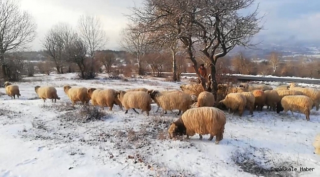 Tokat'ta yüksek kesimler beyaz örtü ile kaplandı