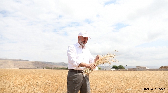 Toprak ve çiftçi dostu Başkan Çolakbayrakdar&#039;ın milli ve yerli tohum hamlesi takdir topladı