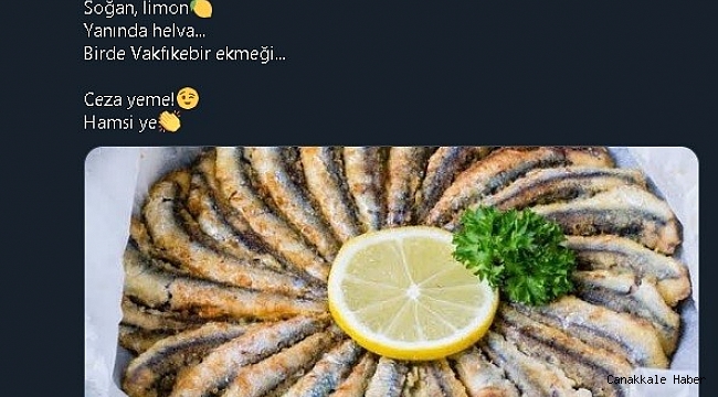 Trabzon Emniyeti&#039;nden sürücülere &quot;Ceza yeme, hamsi ye&quot; tavsiyesi