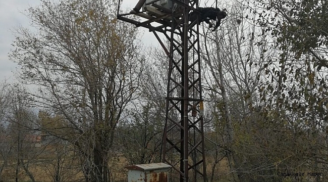 Trafo üzerinde yanmış halde bulundu
