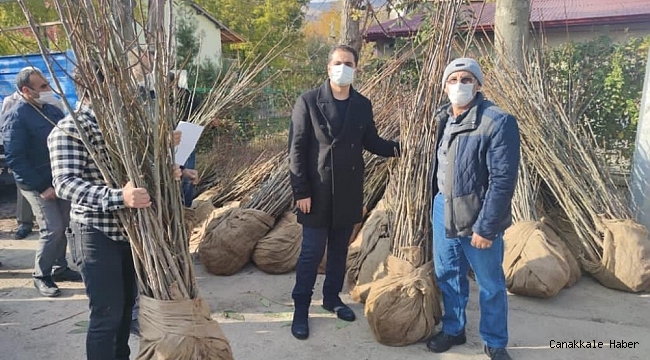 Tunceli&#039;de köylere ceviz ve badem fidanı dağıtımı