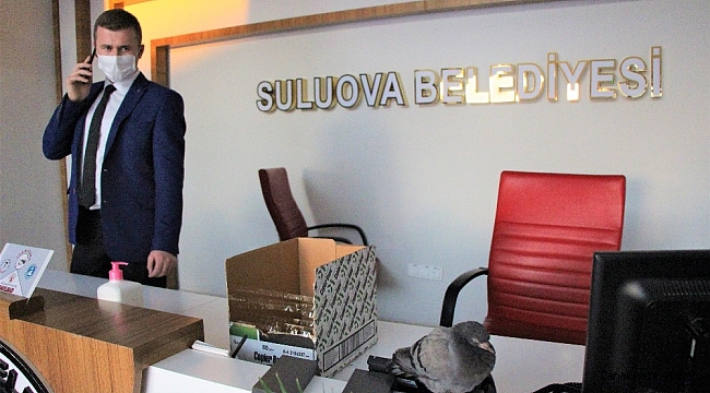 Uçamayan güvercin belediye binasına sığındı