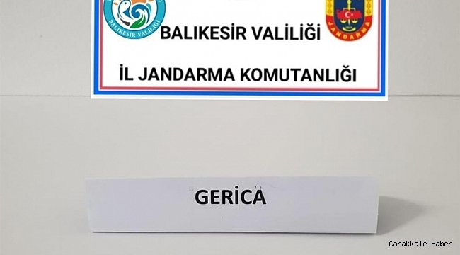Üzerinde uyuşturucu hapla yakalandı