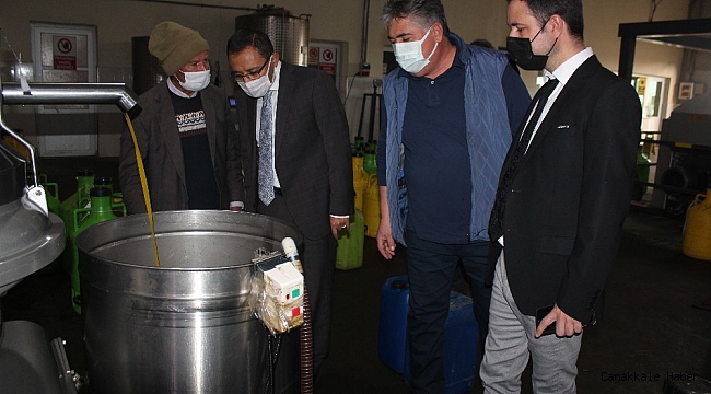 Üzümün başkentinde zeytin üretimi artıyor