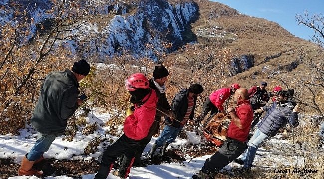 Vadiye yuvarlanan gebe inek 2 gün sonra bulundu, ekipler 9 saatte kurtardı