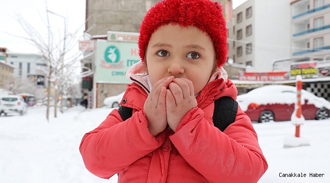 Van&#039;da 3 aylık kar esareti başladı