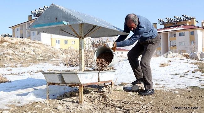 Van'da kısıtlama öncesi sokak hayvanları unutulmadı
