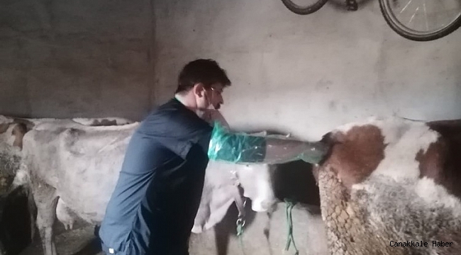 Van&#039;da suni tohumlama hizmeti