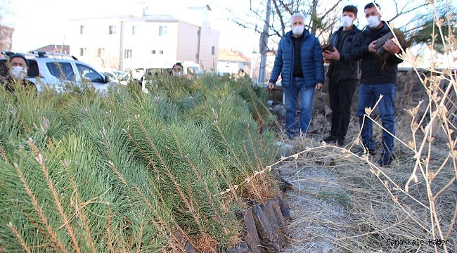 Varto&#039;da fidan dağıtımı