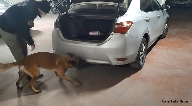 Vites kutusuna saklanan uyuşturucuları narkotik köpeği Galya böyle buldu