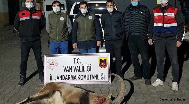 Yaban keçisi avlayan 4 kişiye 36 bin 589 lira ceza