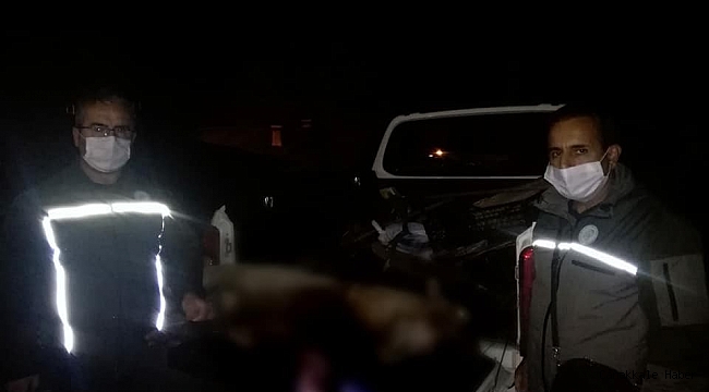 Yaban keçisi vuran 2 şahsa 55 bin 554 lira ceza