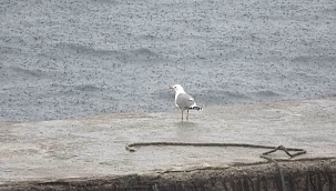 ‘Yağmur duası’ etkili oldu