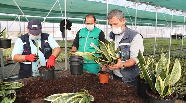 Yaşam Bahçesi&#039;ndeki bitkilerin üretimi başladı