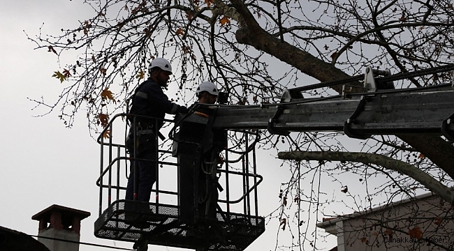 Yaya ve taşıt trafiğini etkileyen dallar budandı
