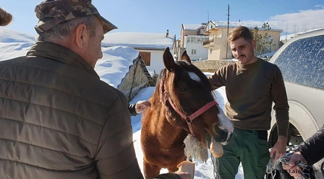 Yaylada ölüme terk edilen at günler sonra hayvanseverler tarafından kurtarıldı