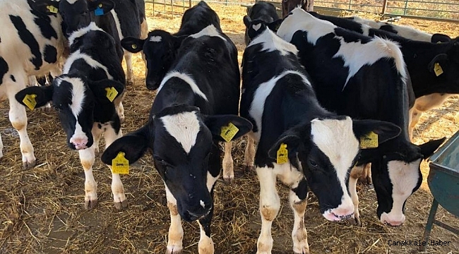 Yem desteği hak edişleri bakanlığa gönderildi