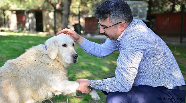 Yılmaz: &quot;Sokak hayvanlarına sahip çıkıyoruz&quot;