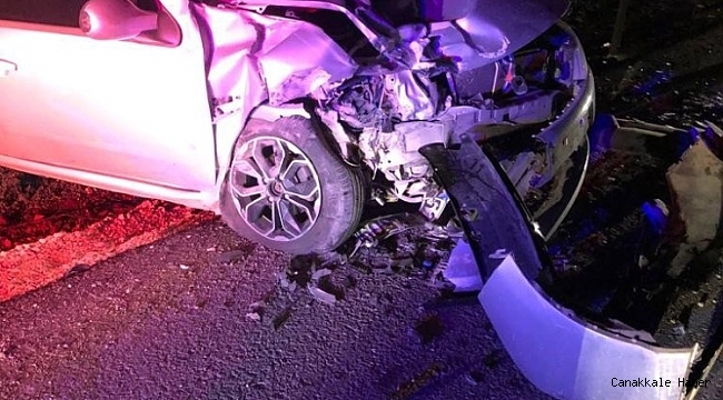 Yola çıkan domuz, kazaya sebep oldu: 2 yaralı