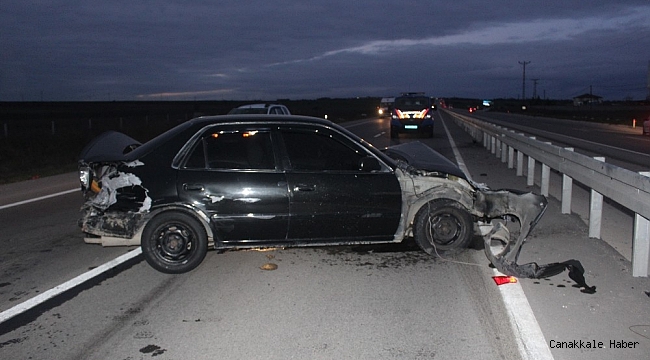 Yola çıkan köpek kazaya sebep oldu