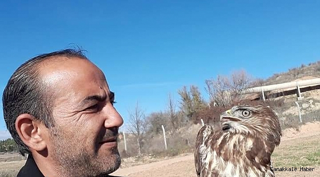 Yolda bulduğu yaralı şahini veterinere götürdü