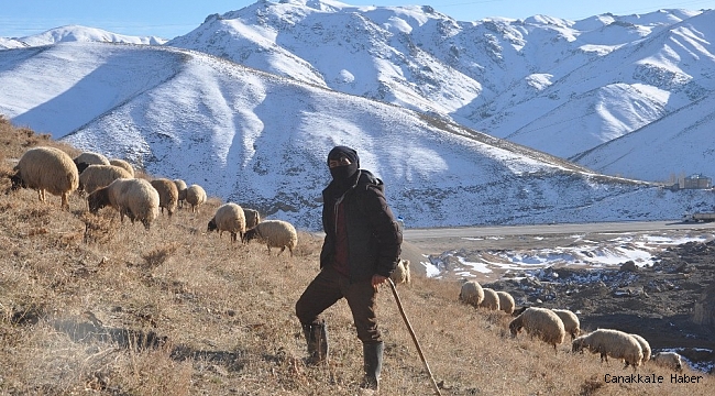 Yüksekova'daki besicilerin zorlu kış mesaisi