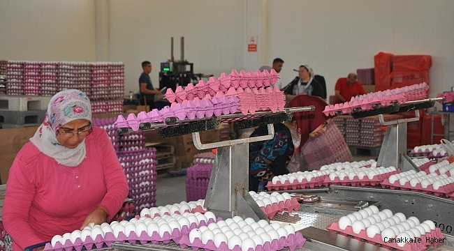 Yumurta tavuk fiyatlarını geçti