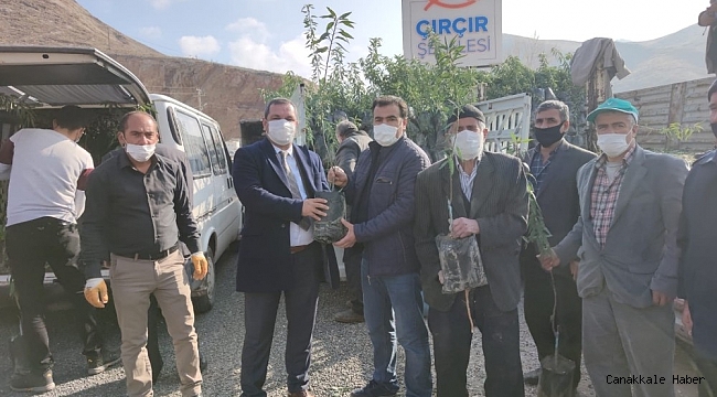 Yüzde 50 hibe destekli 27 bin fidan çiftçilere dağıtıldı